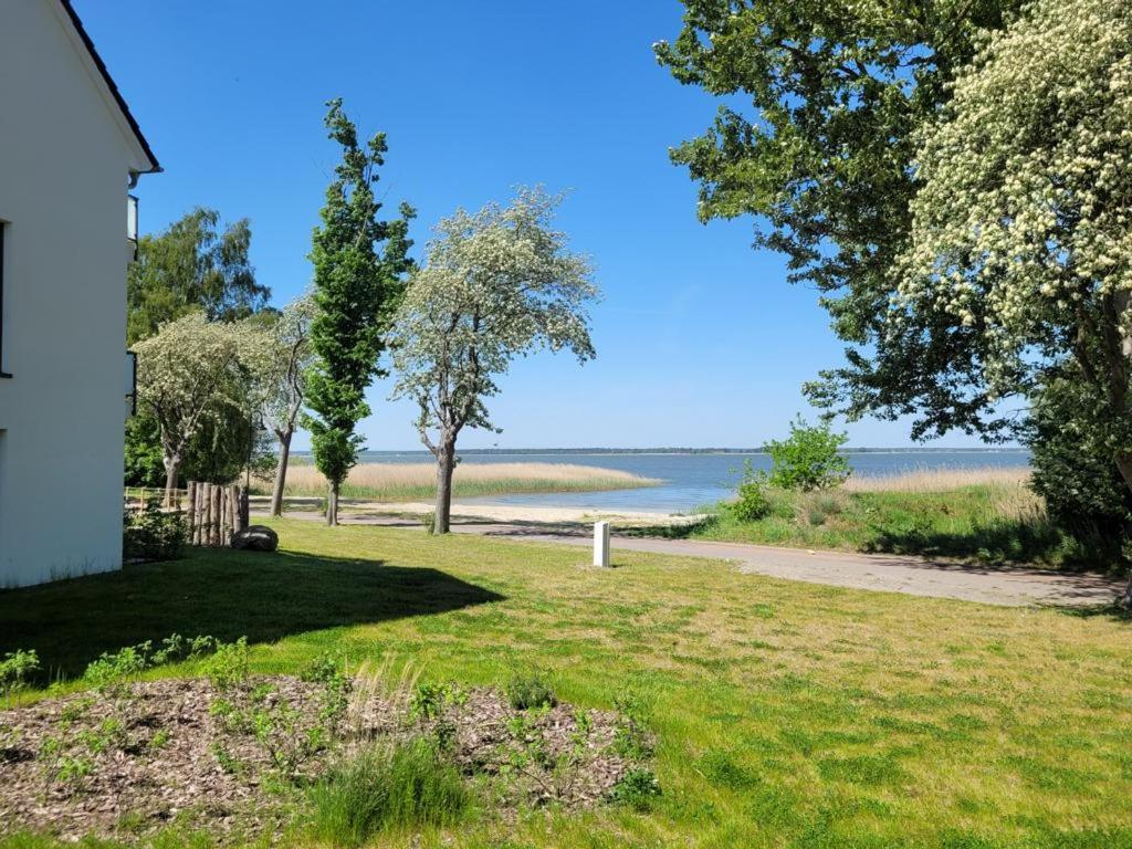 Baltic Lagoon Resort Direkt Am Meer Fuhlendorf  Экстерьер фото