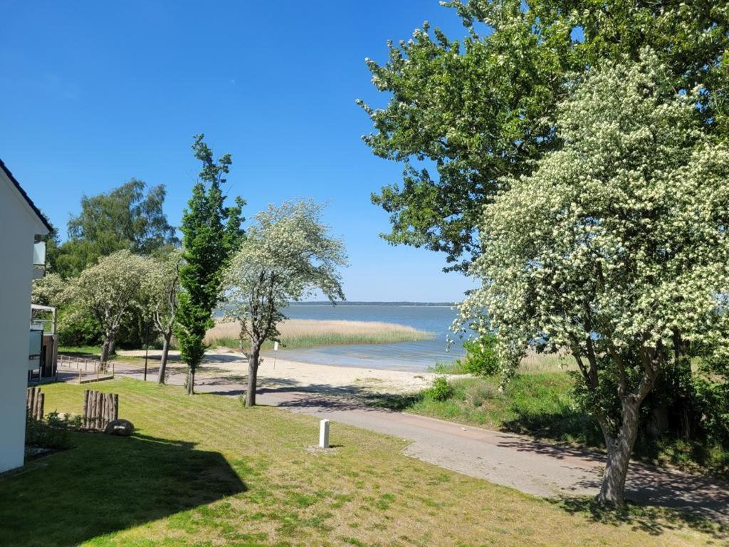 Baltic Lagoon Resort Direkt Am Meer Fuhlendorf  Экстерьер фото